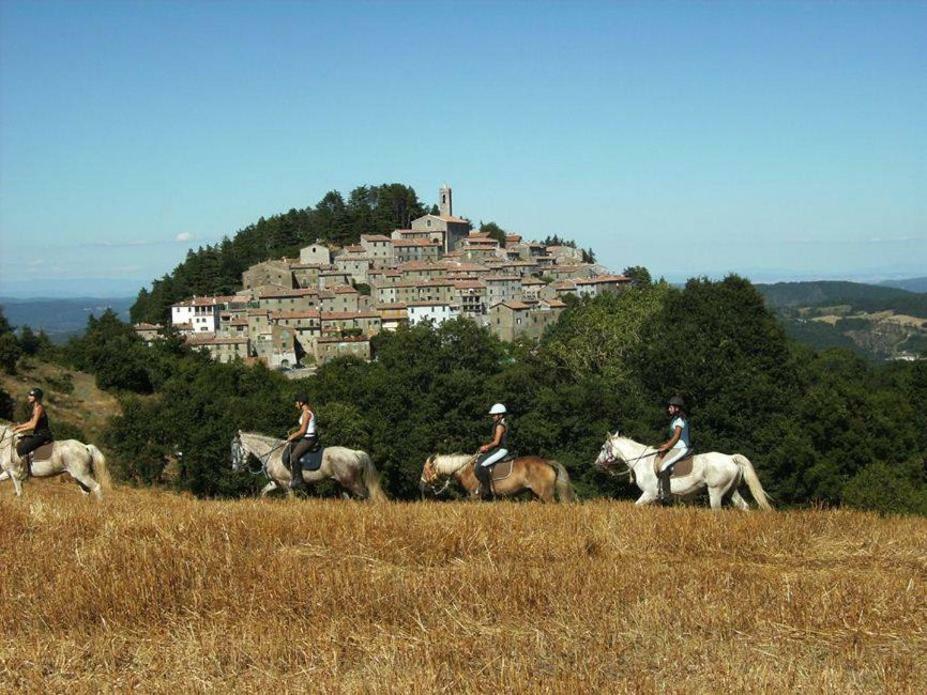 Luciano E Norma House Il Rustico Villa Gerfalco Dış mekan fotoğraf